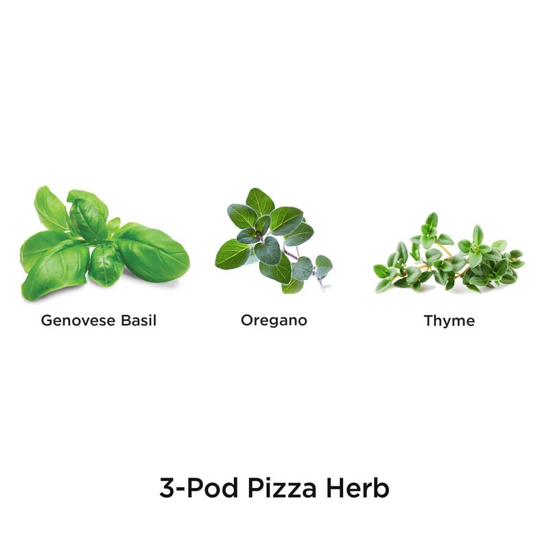 Pizza Herb Seed Pod Kit image number null